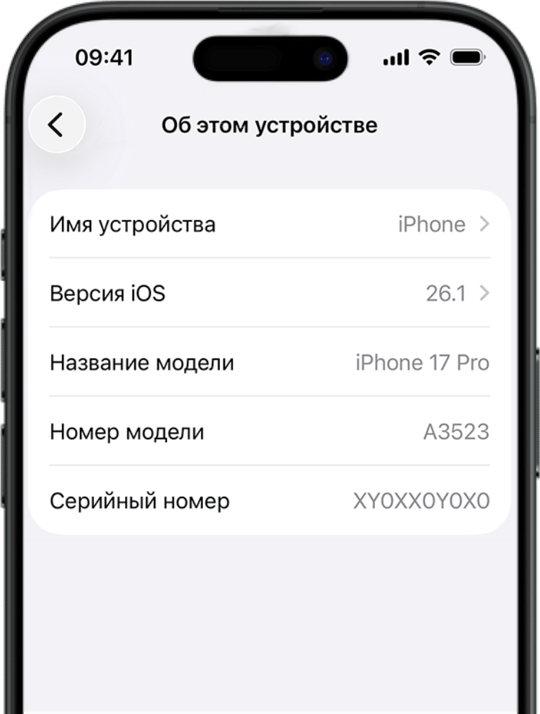 Модель, память и цвет — проверка Apple устройства SnScan